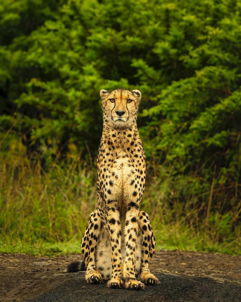Umzolozolo Private Safari Lodge & Spa Ladysmith Exteriér fotografie