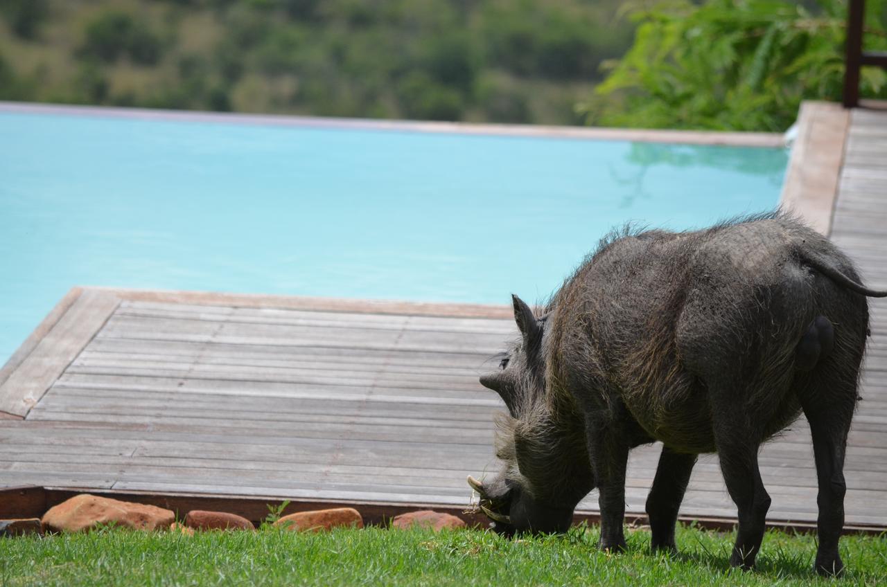 Umzolozolo Private Safari Lodge & Spa Ladysmith Exteriér fotografie