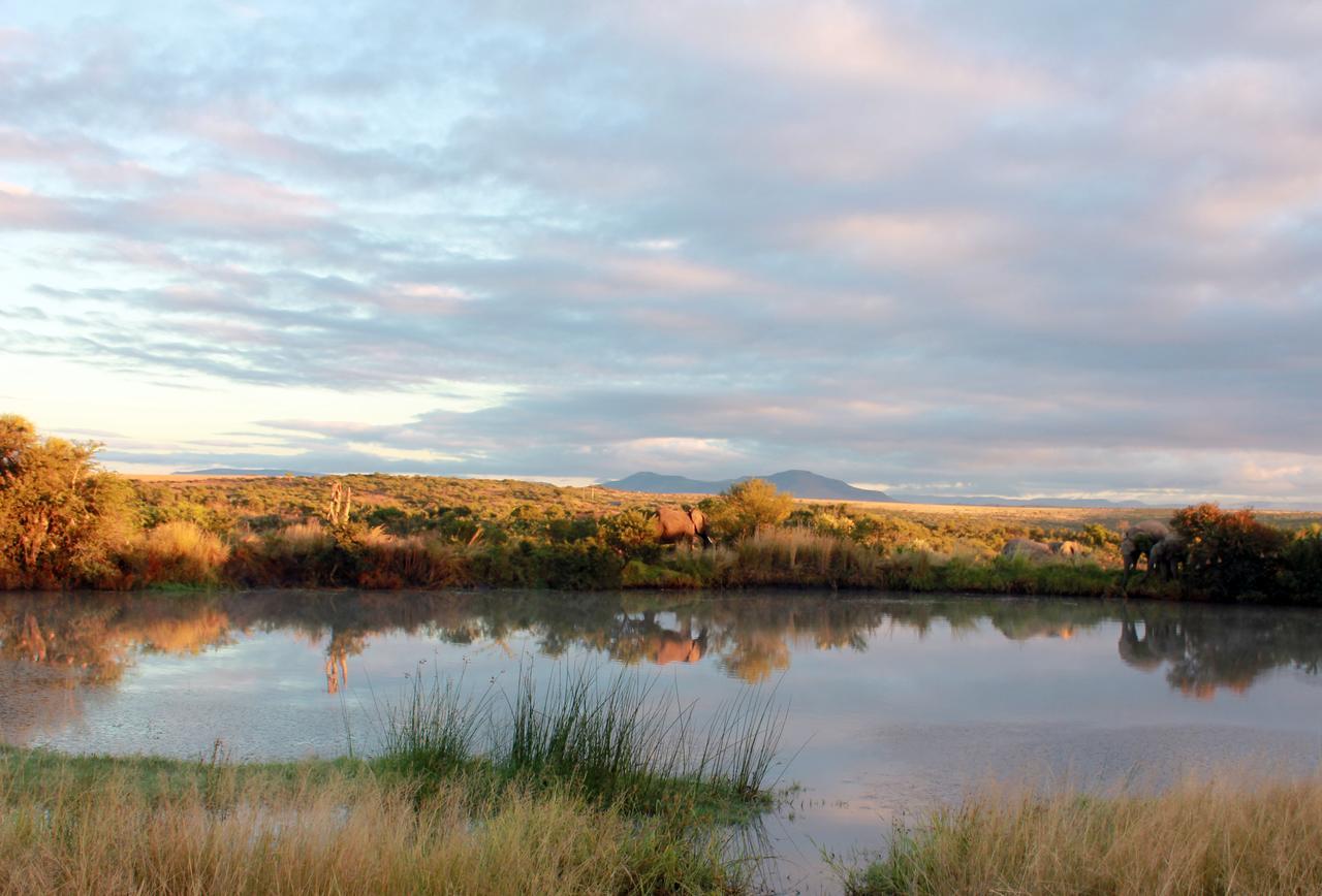 Umzolozolo Private Safari Lodge & Spa Ladysmith Exteriér fotografie